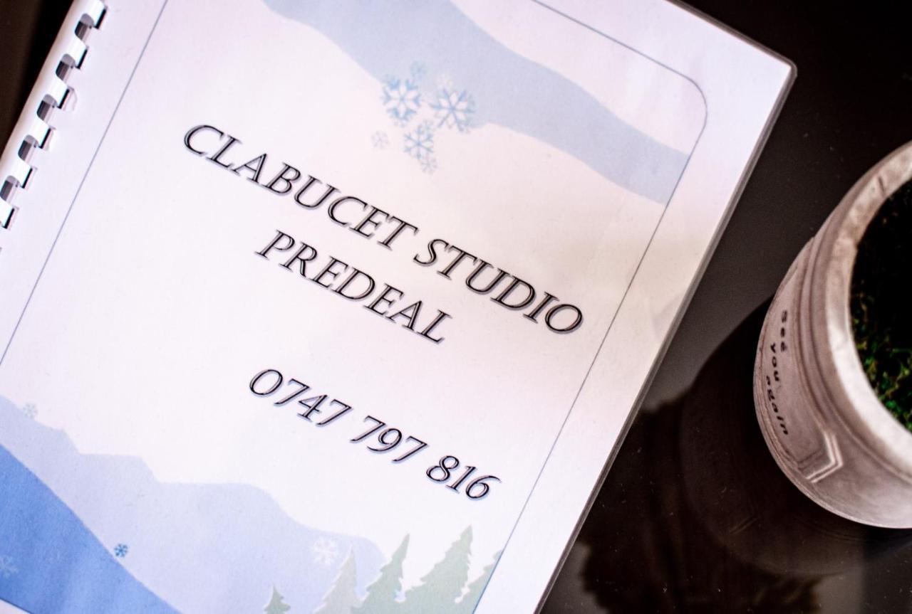 Clabucet Studio Predeal Extérieur photo